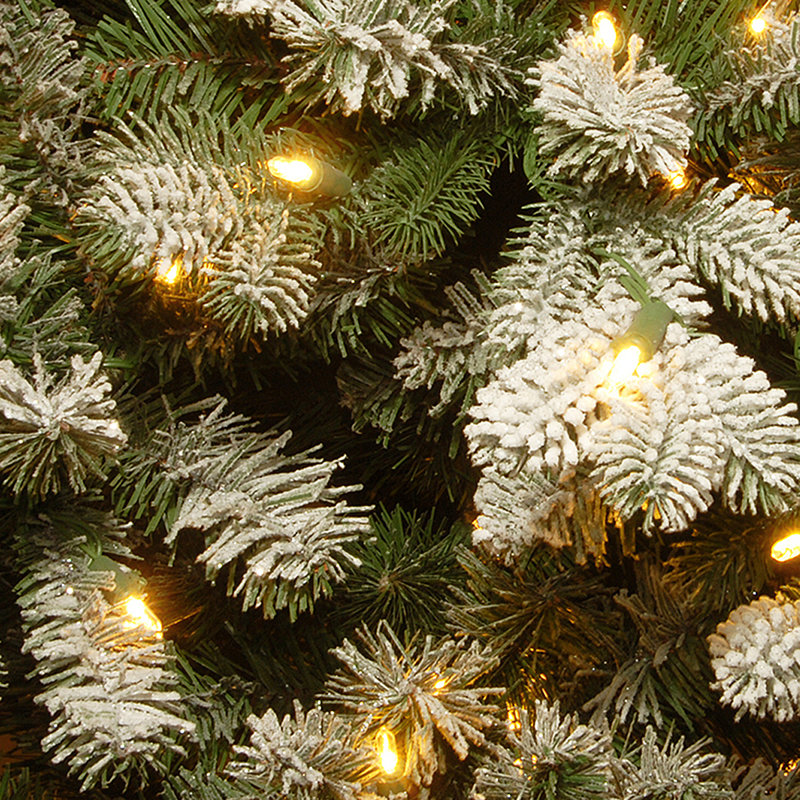 The Holiday Aisle® Snowy Sheffield PowerConnect 7.5' Green Spruce